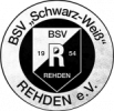 Logo-BSV-grunge